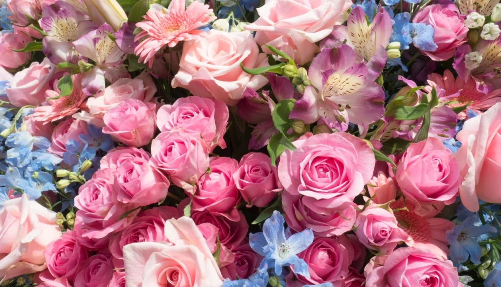 4 (576 x 330 пикс.)_20250611_135848_0000.png 4 (576 x 330 пикс.)_20250611_135848_0000.png